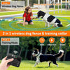 A dog is being trained using a wireless dog fence and training collar in a grassy outdoor setting.