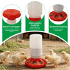 Red automatic chicken feeder and waterer combo set with sectioned feeding holes for no-waste feeding