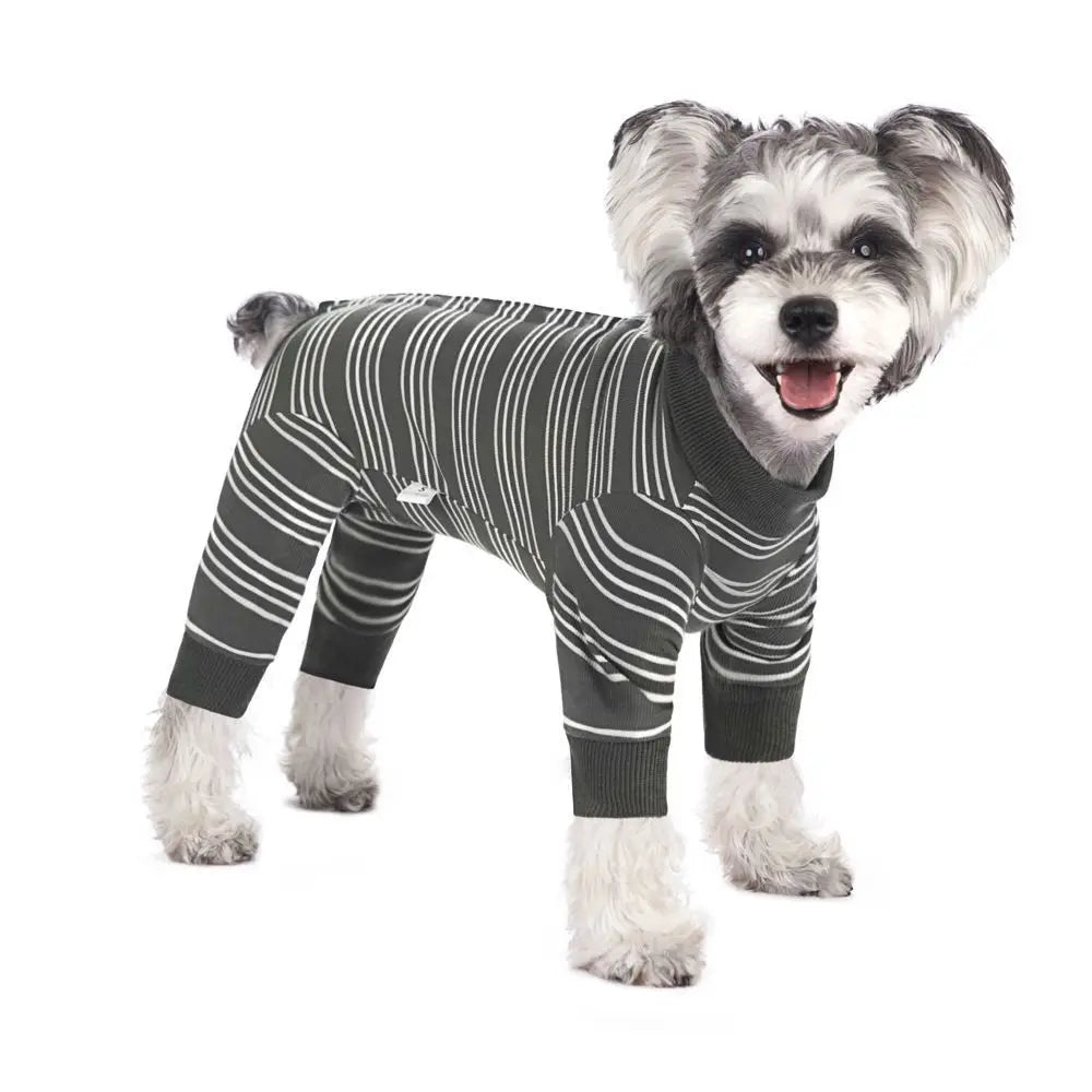 A small dog wearing a striped four-legged jumpsuit with soft polyester fabric.
