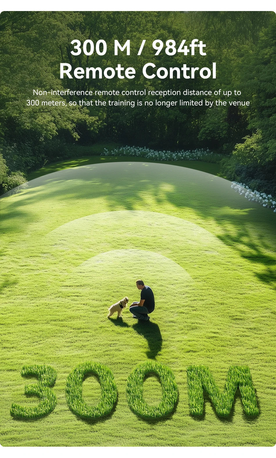 A dog is training on a green field while a remote control is used for guidance.