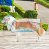 Ein goldener Retriever trägt einen klaren, wasserdichten Regenmantel im Freien.