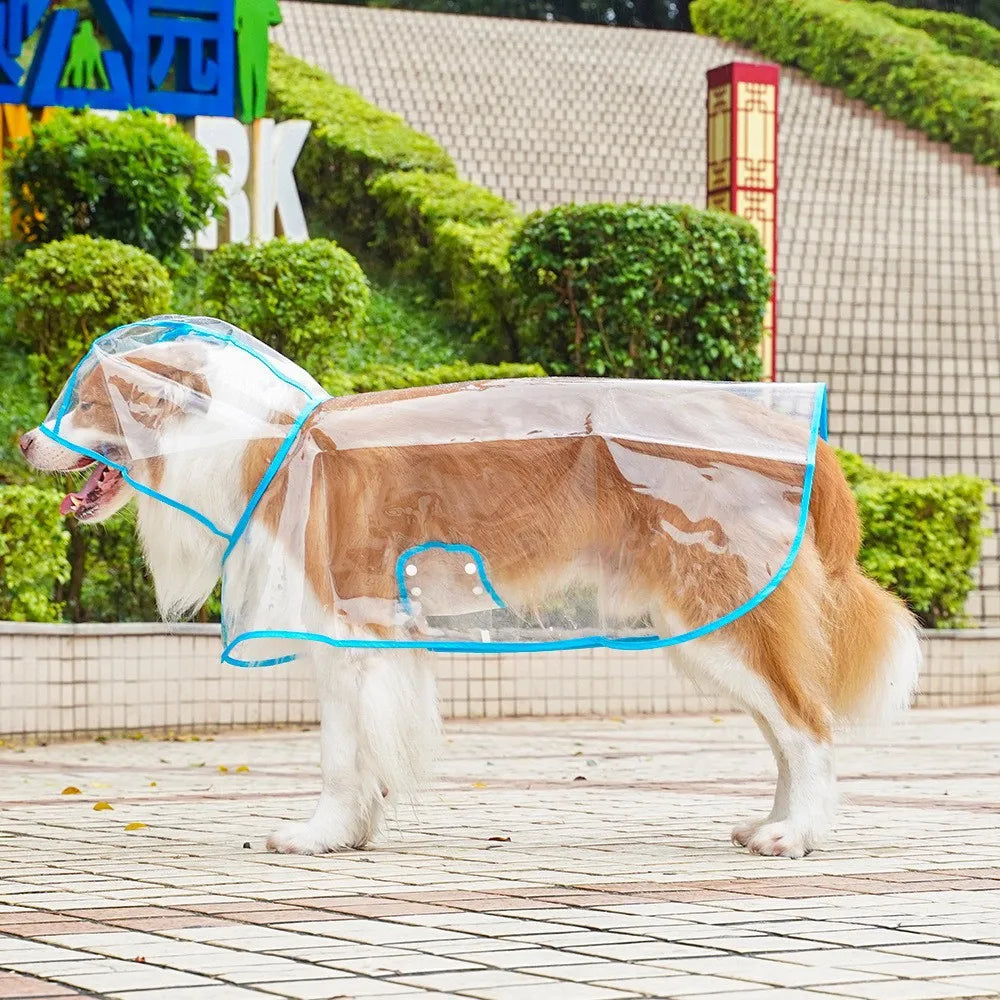 Ein goldener Retriever trägt einen klaren, wasserdichten Regenmantel im Freien.