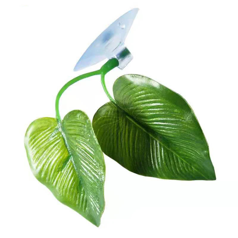 A green leaf with a suction cup attached, used as a betta fish resting hammock.