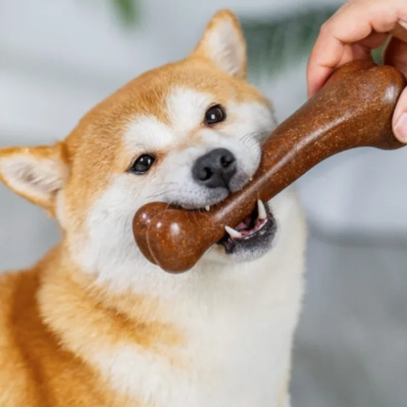 A small Shiba Inu dog is holding a brown natural wood chew toy in its mouth.