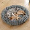 Two cats resting on a round gray pet bed with plush bolster support