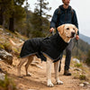 A golden Labrador dog wearing a black raincoat and standing on a dirt trail in a mountainous outdoor setting.
