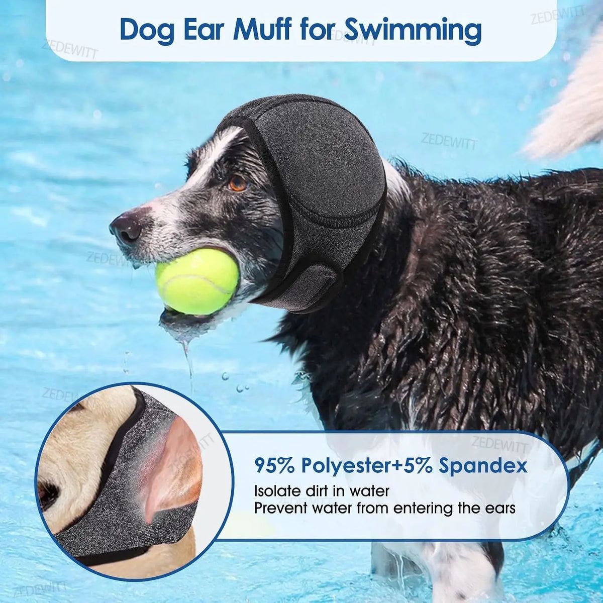 A black dog wearing a silicone ear muff for swimming, with an inset showing the ear protection.