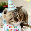 Un chat tigré portant un bibi d'anniversaire et un chapeau de fête faits main.