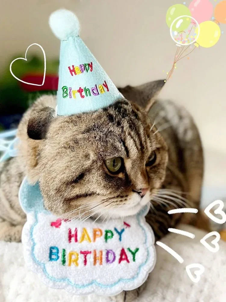 Un chat tigré portant un bibi d'anniversaire et un chapeau de fête faits main.