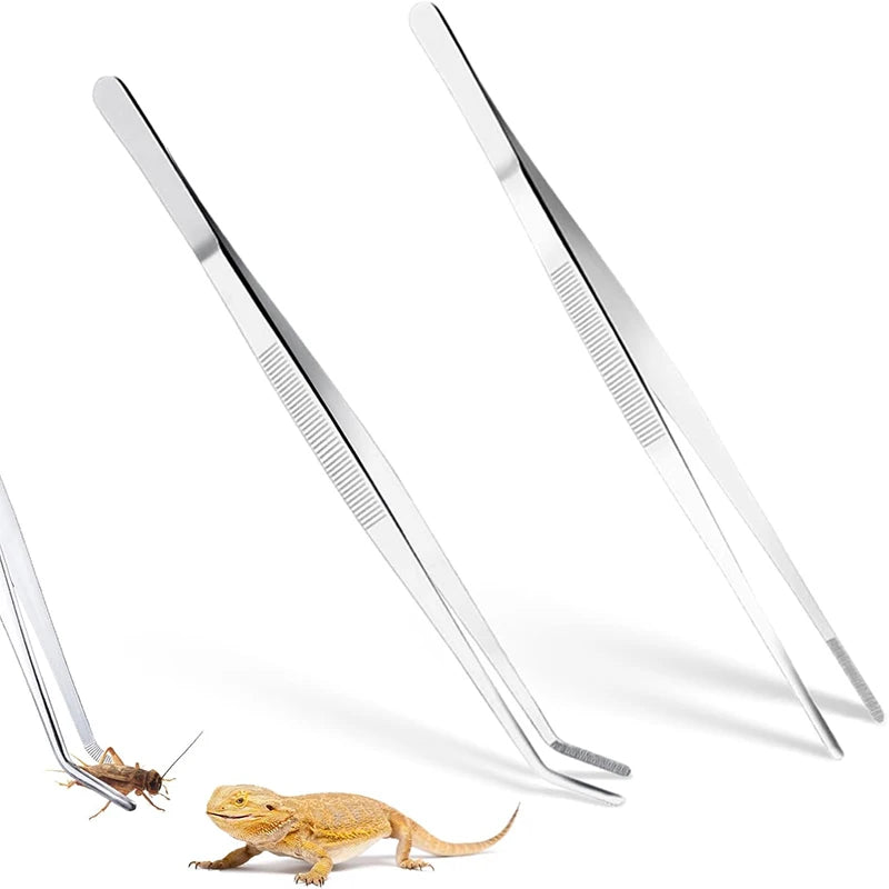 A pair of stainless steel aquarium tweezers with fine tips resting near a small lizard.