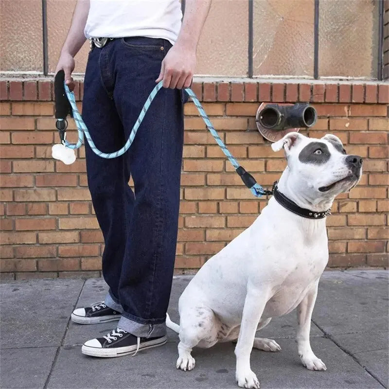 Un perro blanco con una correa azul está de pie junto a una persona con jeans y una camisa blanca.