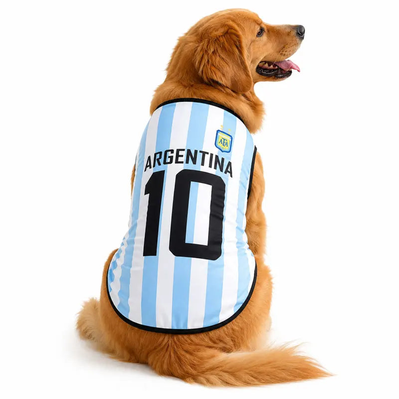 A golden retriever wearing a blue and white Argentina soccer jersey vest with the number 10