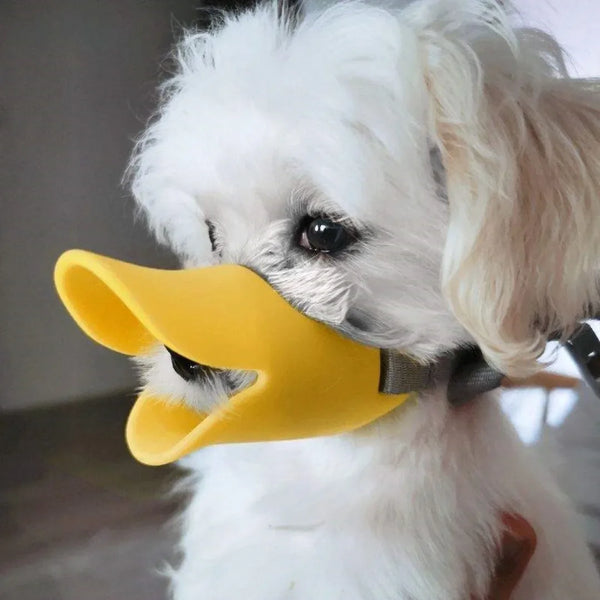 A white dog wearing a yellow silicone duckbill muzzle.