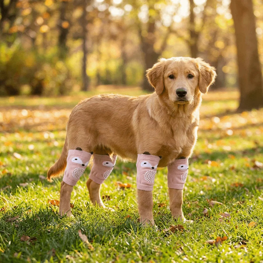 A golden retriever wearing pink breathable knee pads for joint protection and floor traction in a grassy outdoor setting.