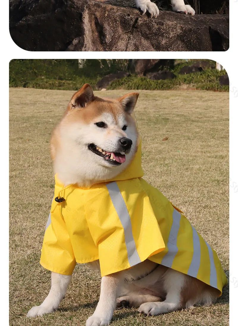 Ein flauschiger Shiba Inu trägt einen gelben, wasserdichten reflektierenden Hunde-Regenmantel im Freien.