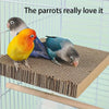 Three parrots are shown interacting with a natural corrugated bird perch stand.
