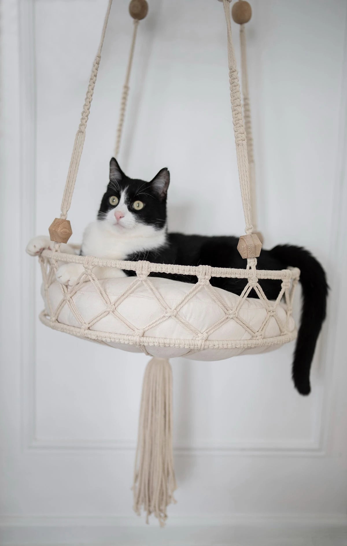 A black and white cat is resting in a macrame hammock pet bed suspended from a white wall.