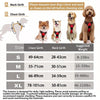 A guide showing different sizes of a dog harness, including neck and chest girth measurements for various sizes.