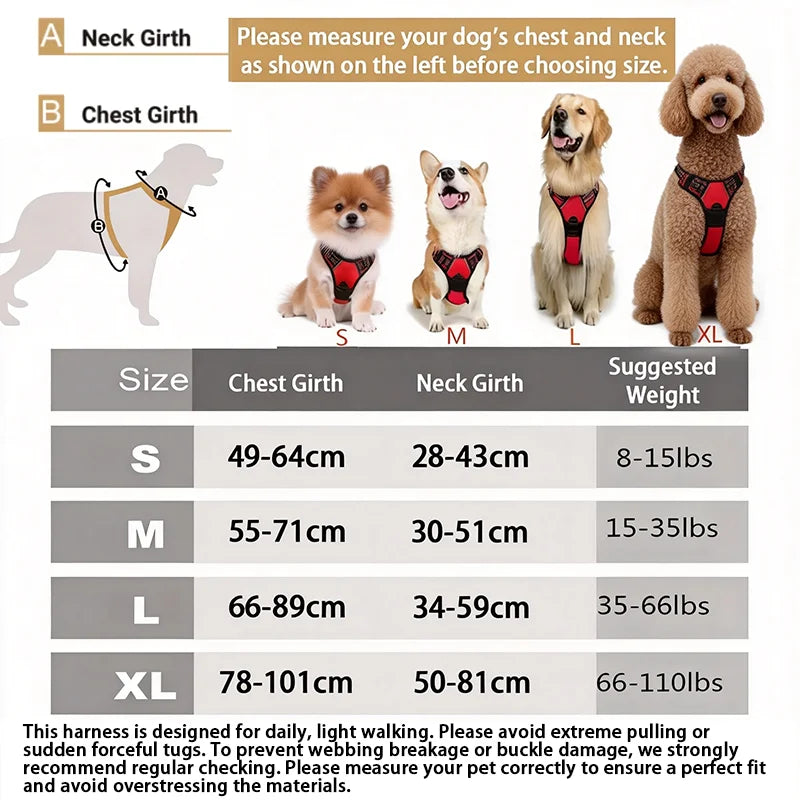 A guide showing different sizes of a dog harness, including neck and chest girth measurements for various sizes.