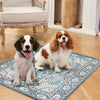 A brown and white dog lying on a blue patterned mat indoors.
