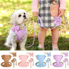 Ein Set aus drei rosa, lila und blauen Hundehalsbändeln und Leinen.