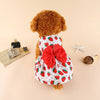 A fluffy brown dog wearing a red and white strawberry print bow dress.