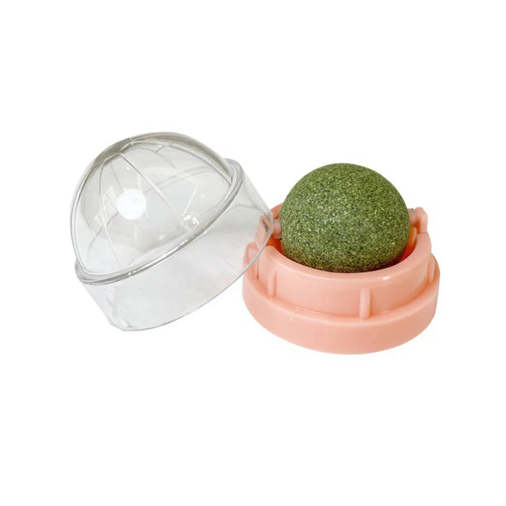 A natural catnip wall scratching stick toy consisting of a clear plastic dome and a round green ball in a pink holder.