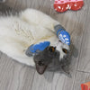 A gray and white cat wearing blue anti-slip knit dog socks with a tiger design.