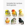 Eine Sammlung von Vogelnestern und संबंधितen Artikeln für verschiedene Vogelarten wie Budgie, Cockatiel und andere.