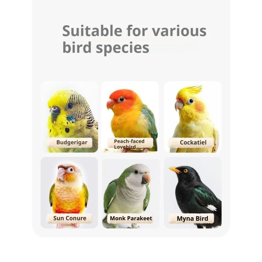 Eine Sammlung von Vogelnestern und संबंधितen Artikeln für verschiedene Vogelarten wie Budgie, Cockatiel und andere.