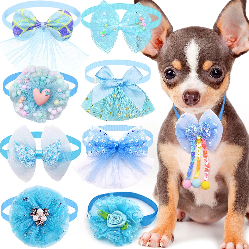 A small brown and white dog wearing a blue lace bowtie collar accessory for pets