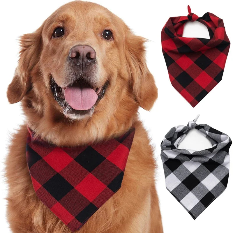 Golden retriever wearing a red and black plaid bandana around its neck