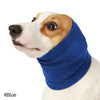 Un chien portant un cache-oreille et un bandeau anti-bruit bleu.