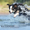 A black and white dog is jumping through water, demonstrating a waterproof remote dog training device.