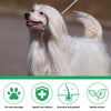 A white dog with long fur is shown next to icons indicating the product is for cats and dogs, hair follicle repair, hair grow