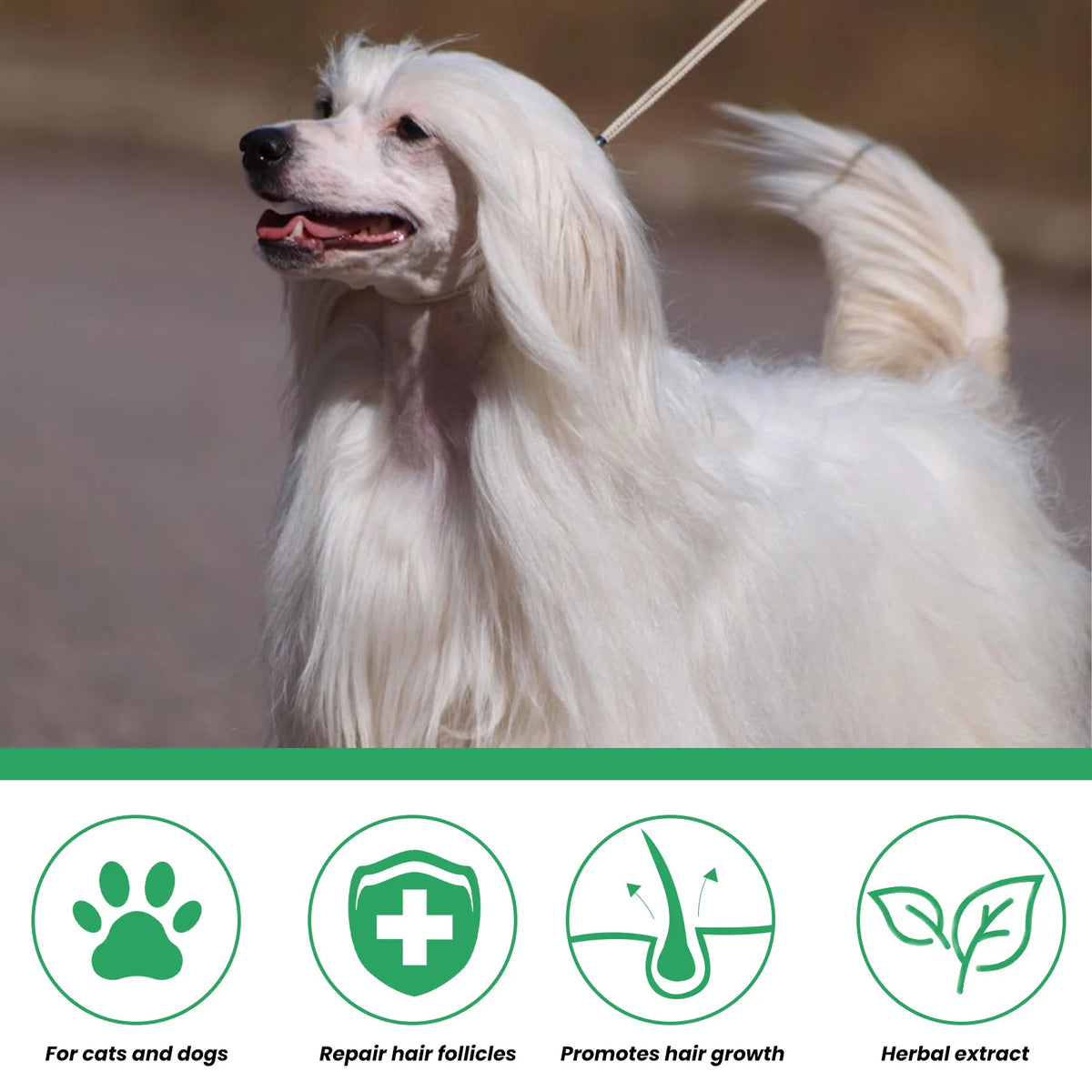 A white dog with long fur is shown next to icons indicating the product is for cats and dogs, hair follicle repair, hair grow
