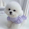 Un chien blanc et duveteux portant une robe de princesse lavande à manches flottantes.