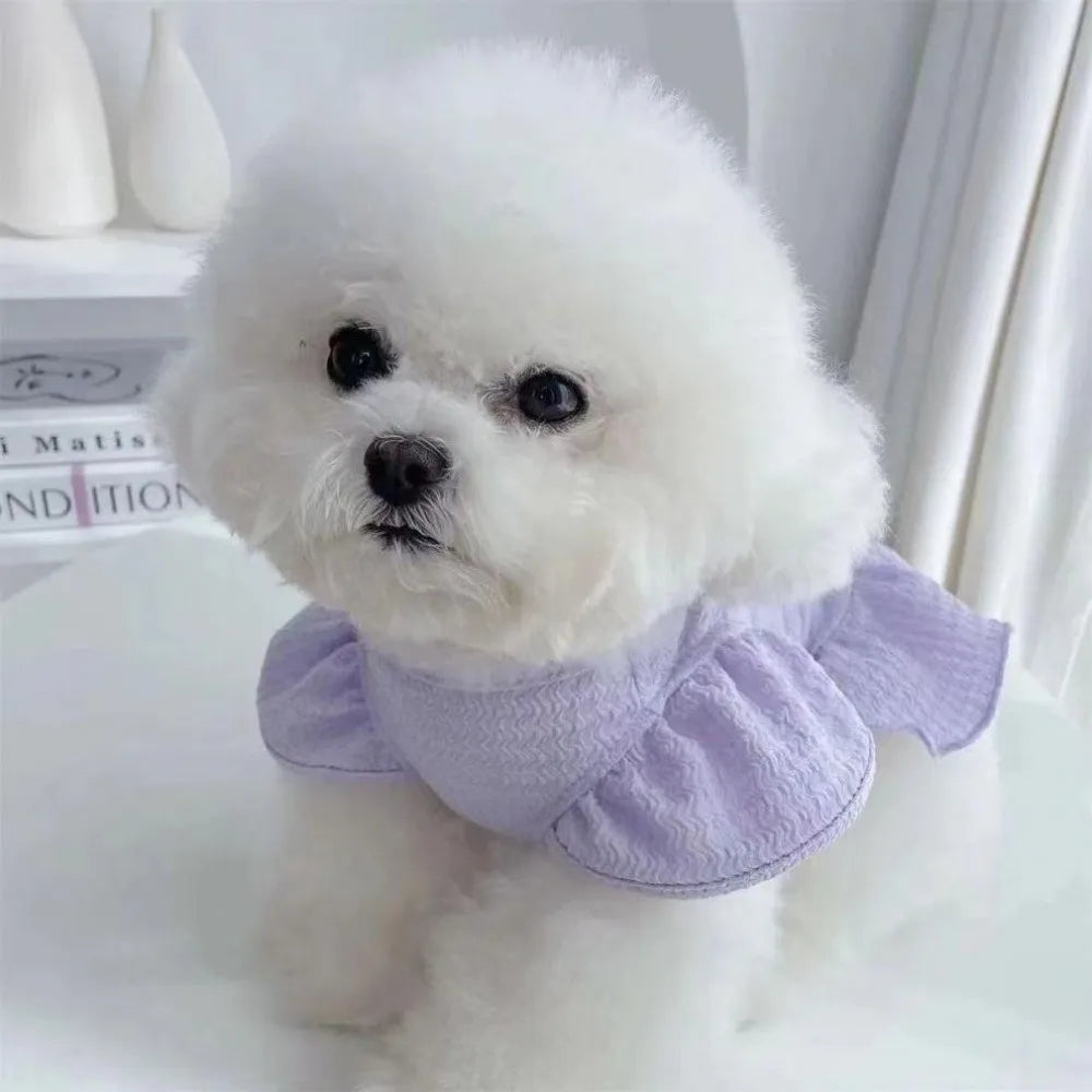 Un chien blanc duveteux portant une robe de princesse lavande à manches flottantes.