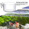A silver suction cup fish tank is shown above an aquarium with various aquatic plants and fish.