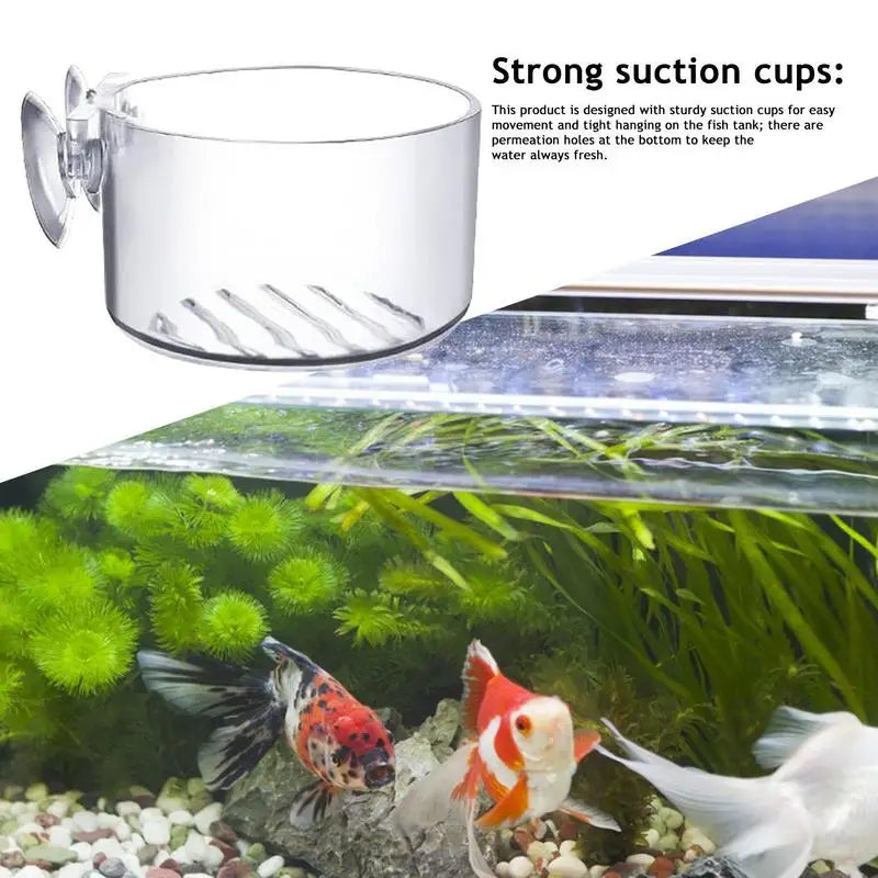 A silver suction cup fish tank is shown above an aquarium with various aquatic plants and fish.