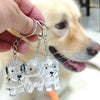 A hand holds three clear glass pet hair memorial keychains shaped like puppies against a light-colored dog.