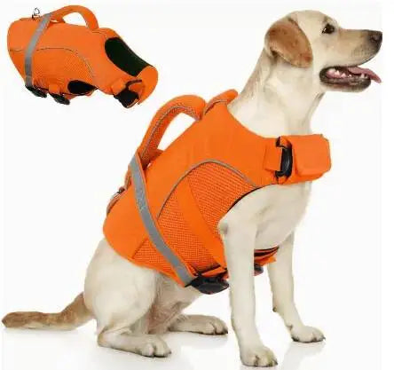 Orange adjustable dog life jacket for swimming safety shown on a light-colored dog.