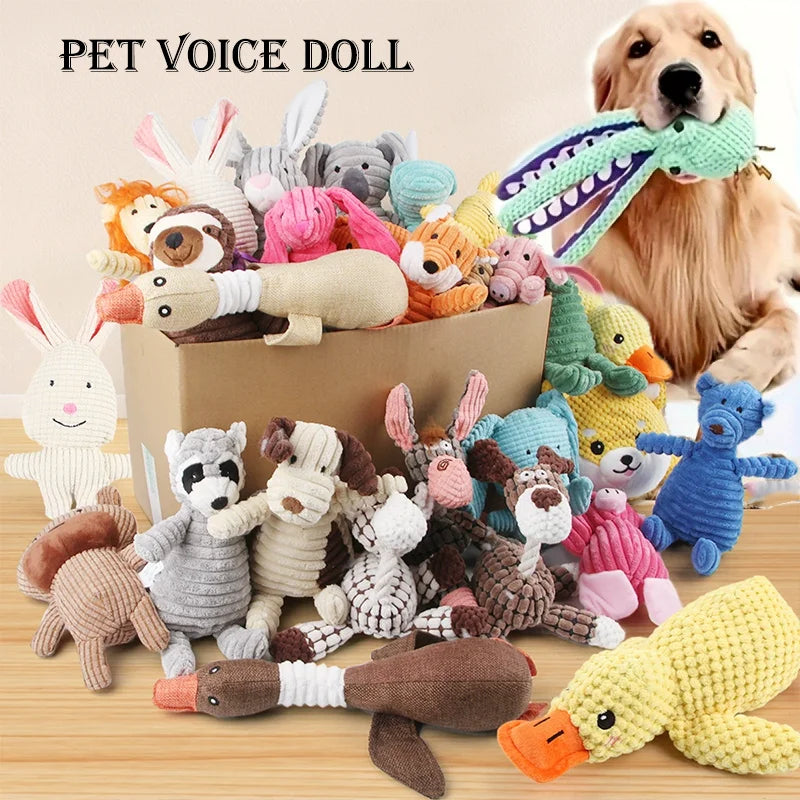 A collection of soft plush dog toys and squeaky chew toys in various colors and textures.
