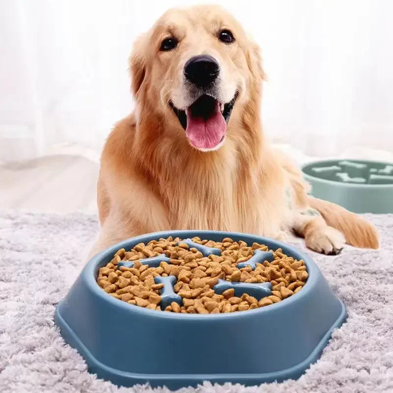 A golden retriever dog is looking at a blue puzzle feeder bowl filled with dry dog food on a white blanket.