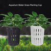 Two white and black plant cups containing aquarium water grass plants