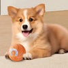 Ein flauschiger Shiba Inu Hund liegt neben einem orangefarbenen interaktiven Spielball.