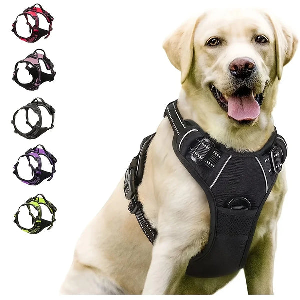 A golden retriever wearing a black adjustable no-pull dog harness with reflective strips and a handle.