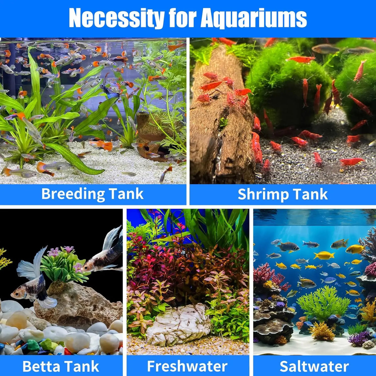 Collection d'aquariums variés : bacs pour élevage, crevettes, betta, eau douce et eau salée.