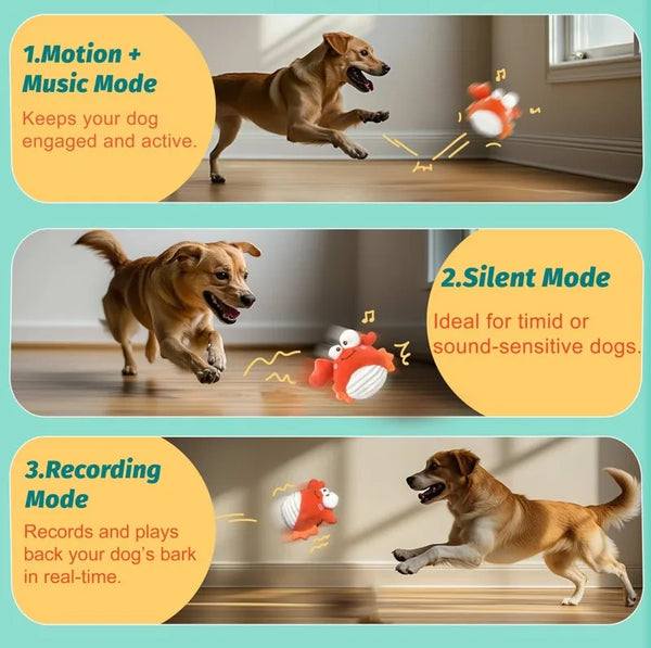 Three modes of an interactive crab plush dog toy for dogs: Motion, Silent, and Recording.
