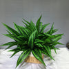 A vibrant green artificial tropical palm plant with long, spiky leaves displayed on a white surface.
